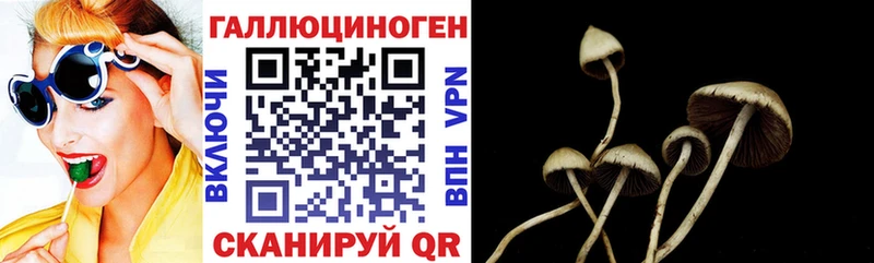 наркота  Иноземцево  Псилоцибиновые грибы ЛСД 